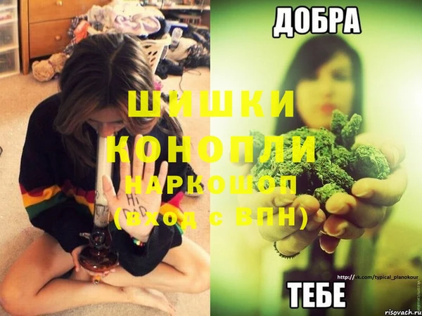 сатива Абдулино