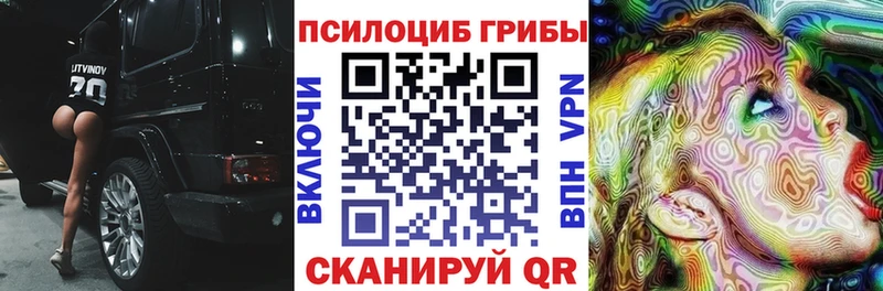 Галлюциногенные грибы MAGIC MUSHROOMS  МЕГА зеркало  Балаково  купить закладку 