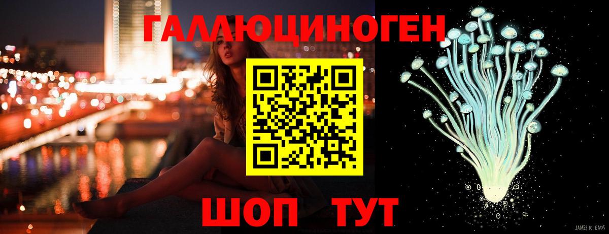 Псилоцибиновые грибы Psilocybine cubensis Балаково