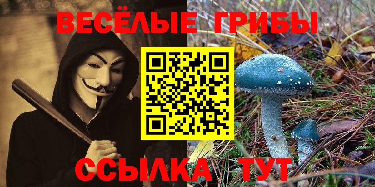 Псилоцибиновые грибы Cubensis  где найти   Балаково  Вход с VPN 